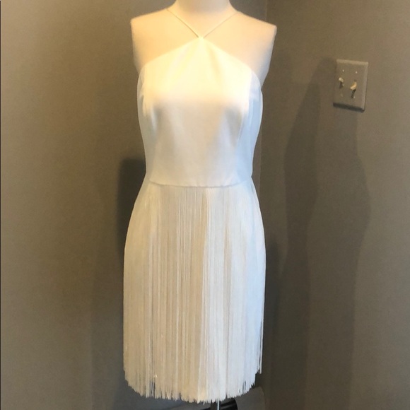 BHLDN Aiden Mattox Fringe Levine Dress NEW - Picture 5 of 8